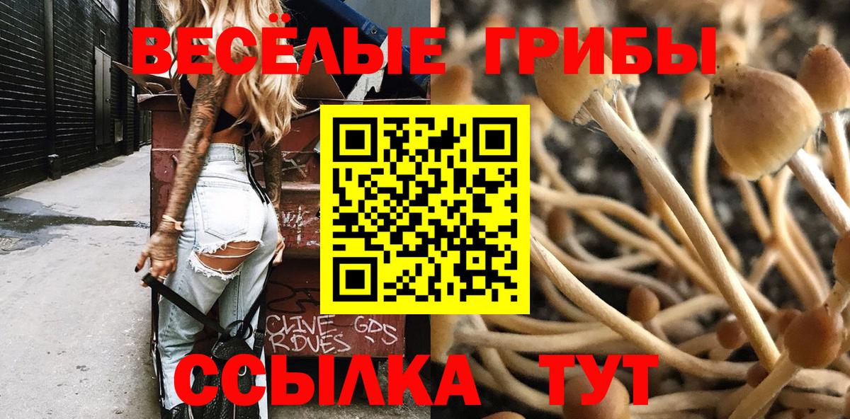 Электрогорск  Псилоцибиновые грибы ЛСД  Вход с VPN 