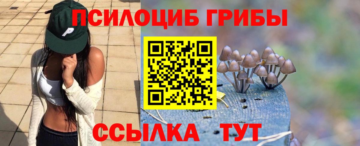Меф Электрогорск