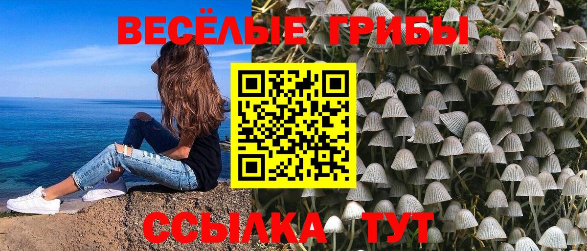 Галлюциногенные грибы мицелий Электрогорск